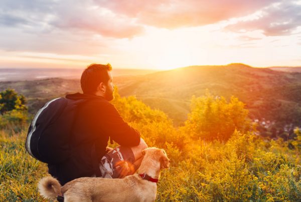 Man With Dog Enjoying Mountain Sunset And Looking At The Distance